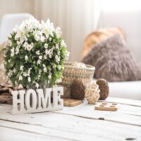 Home & Living