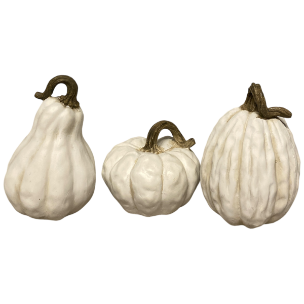 Kürbis "White" 3er-Set