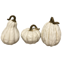 Kürbis "White" 3er-Set