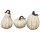 Kürbis "White" 3er-Set