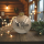Weihnachtskugel "8cm glänzend" mit Namen